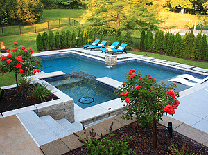 st. louis custom designed geometric concrete pool, concrete spa with tile spillover, fire water bowls, red rose trees