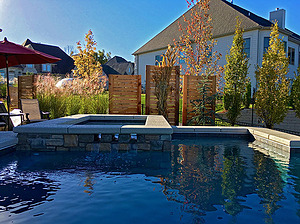 st louis pool construction, custom concrete pool, concrete spa, privacy panel