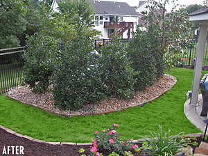 landscape design, st. louis landscape, after, equipment pad