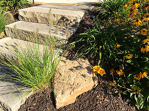 Yellow flowers next to ledgerock steps