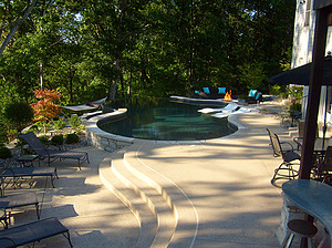 st. louis custom designed freeform concrete pool with exposed wall, fire pit, ledge loungers and hammock