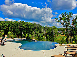 st. louis custom designed concrete pool, vanishing edge overlooking trees