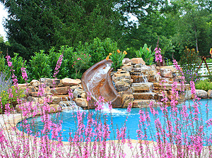 Pink flowers in front of St. Louis custom designed freeform concrete pool with large boulder water feature and concrete slide