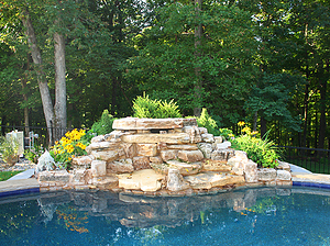 St. Louis custom designed freeform concrete pool with cantilever coping and boulder water feature surrounded by yellow flowers