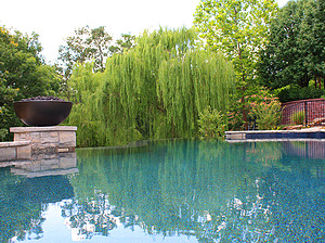 St. Louis custom designed freeform concrete pool with flagstone coping, stone column with fire bowl and vanishing edge overlooking weeping willow