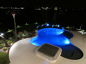 Bird's eye view of St. Louis custom designed freeform concrete pool with laminar jets, spa and metal palm trees at night